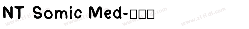 NT Somic Med字体转换